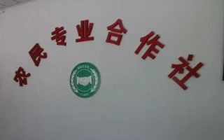 農(nóng)民專業(yè)合作社的基本特征，入社自愿、退社自由、民主選舉和民主決策等