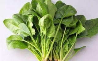 2月份適合種植的蔬菜，常見的有黃瓜、胡蘿卜、菠菜等