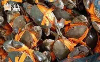 青蟹怎么挑選，可測反應(yīng)力、看顏色、看蟹腿等