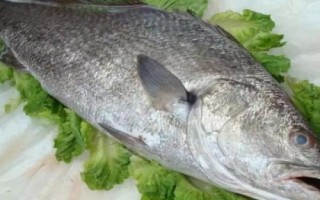 米魚(yú)簡(jiǎn)介，廣泛分布于北太平洋西部