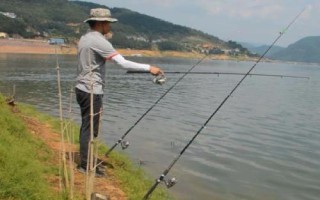 水庫能不能釣魚，取決于實際情況、不能一概而論
