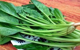 樹底下適合種什么菜，可以種生菜、菠菜、韭菜等