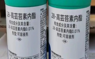 哪種特效藥能解除除草劑的藥害，使用蕓苔素可以緩解、減輕藥害