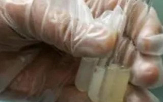 豬精液的保存溫度,常溫保存以15-25℃為宜