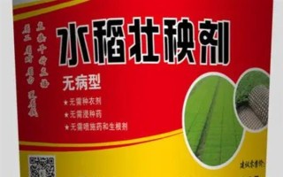水稻壯秧劑在什么時候用，通常在秧苗移栽后使用