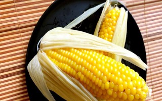 CY2026玉米種子介紹，3月底至4月上中旬播種