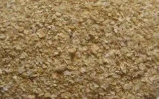 河里釣翹嘴魚(yú)用什么打窩最好，建議用嫩玉米粒、酒糟、豆粕等