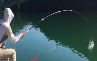 傳統(tǒng)釣魚(yú)竿品牌推薦，主要有溪流竿和炮竿兩大類(lèi)
