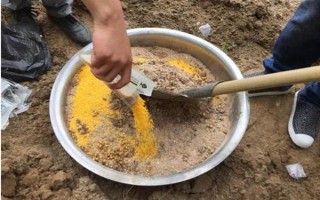 釣鯉魚如何才能避開白條鬧窩，可以使用素餌