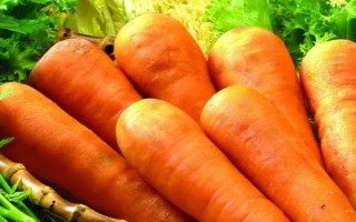 2月份適合種植的蔬菜，常見的有黃瓜、胡蘿卜、菠菜等