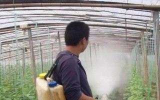 黃瓜紅粉病的防治措施，要注意合理密植