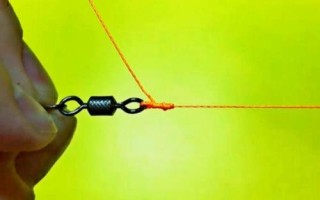 魚線、魚鉤、魚竿的綁法，不同線組間的綁法不同
