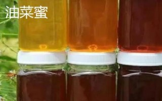 柑橘蜜和油菜蜜的區(qū)別，柑橘蜜市場上比較少