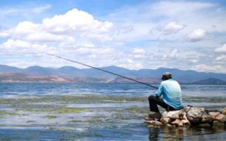 10度左右的天氣釣鰱鳙可以嗎，可以垂釣但是效果不是特別好