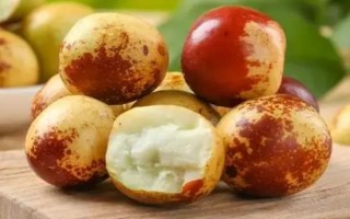 倉鼠可以吃哪些食物，可以吃小米、香蕉、桃子等