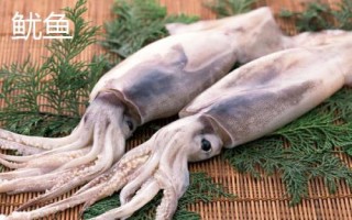 章魚有幾只觸手，一共有八條所以被叫做八爪魚