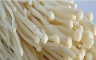 金針菇基腐病怎么防治，發(fā)現(xiàn)病菇要立即清除