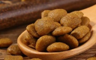 杜賓犬適合吃什么狗糧，愛慕絲、麥頓、麥德琳等品牌均為適宜選擇