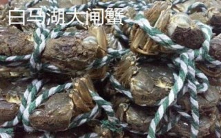 江蘇省金湖縣的特產(chǎn)，白馬湖大閘蟹遠(yuǎn)銷四方
