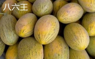 新疆阿勒泰地區(qū)的特產(chǎn)，喀納斯蜜瓜被譽為“阿山一絕”