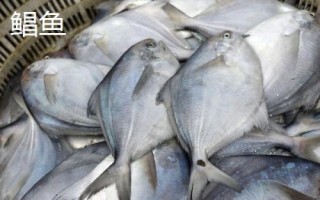 常見的魚類品種，大部分均為淡水魚