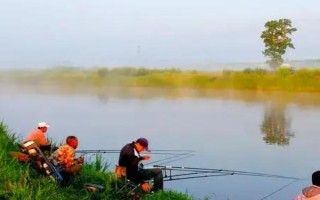 釣翹嘴魚(yú)的最佳方法，主要有傳統(tǒng)釣法、臺(tái)釣法、路亞釣法等