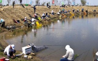 黑坑釣青魚怎么釣上魚快，要根據(jù)季節(jié)選擇出釣時間