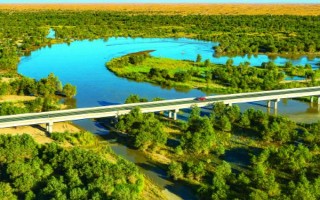 土地沙漠化如何防治，可防風(fēng)固沙、植物治理等