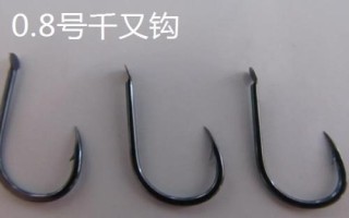 千又鉤和伊豆鉤的區(qū)別，千又鉤的鉤尖呈鷹嘴狀
