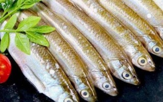 溪流釣用什么釣竿，一般用溪流竿