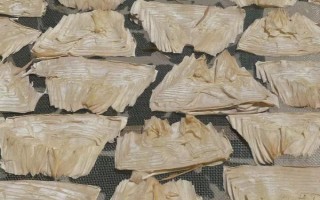 竹筍能放冰箱嗎，可以冷藏也可以冷凍