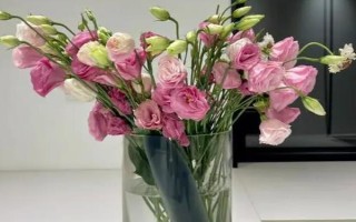 桔?；芩喽嚅L時間，取決于當(dāng)前季節(jié)的溫度