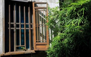 竹子的寓意，象征著自強不息精神的人