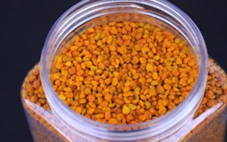 如何對(duì)蜂群飼喂花粉，制成粉餅可讓蜂群自由采食
