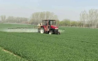 噻苯隆的用法以及要注意什么，畝用100克藥劑兌水噴霧即可