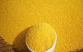 中國(guó)最好的小米產(chǎn)地在哪里，蔚縣、沁州、龍山等地的小米都很有名