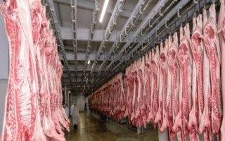 開辦屠宰場需辦理的手續(xù)，包括屠宰許可證、排污許可證及動物防疫條件許可證等