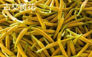 山西省神池縣的特產(chǎn)，包括神池黑豆、神池黍子、神池羊肉等種類