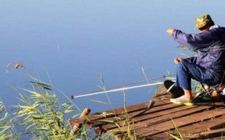 夏季釣鯽魚的技巧，掌握這5點就能“爆護”