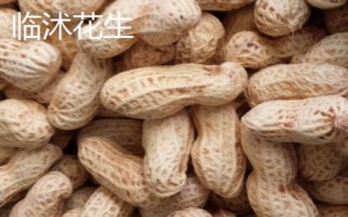 山東省金鄉(xiāng)縣的特產(chǎn)，胡集白梨瓜走俏全國