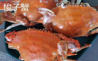 海紅蟹和梭子蟹的區(qū)別，價(jià)格和外形均不同