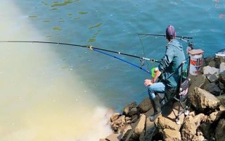 200元以內(nèi)的魚(yú)竿推薦，玄圖、慶魚(yú)年、霸王悍等竿型均為適宜選擇
