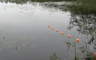 七星漂流水能釣魚嗎，在流水中用七星漂無(wú)法觀察漂相
