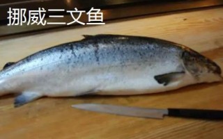 三文魚的產(chǎn)地，主產(chǎn)于俄羅斯、美國(guó)、加拿大、日本、挪威