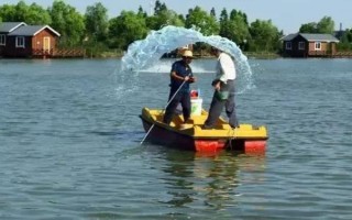 對蝦出現大面積偷死的原因，主要原因是有弧菌感染