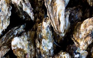 牡蠣和生蠔有什么區(qū)別，牡蠣的裙邊較清晰打開后具有大量汁水