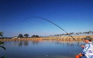 冬天釣鳊魚是釣底還是釣浮，釣底是主流