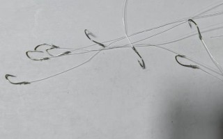 臺釣鯽魚子線要多長，根據(jù)魚情、季節(jié)、釣法等決定
