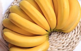 倉鼠可以吃哪些食物，可以吃小米、香蕉、桃子等