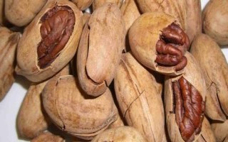 碧根果的產(chǎn)地，在我國(guó)主產(chǎn)于云南、廣東、新疆等地方